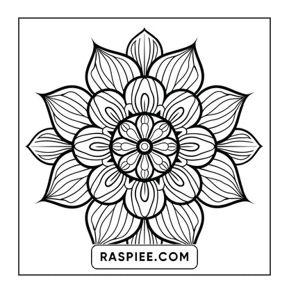 250 Mandala Adult Coloring Pages Vol.4