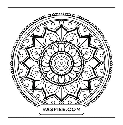 250 Mandala Adult Coloring Pages Vol.4