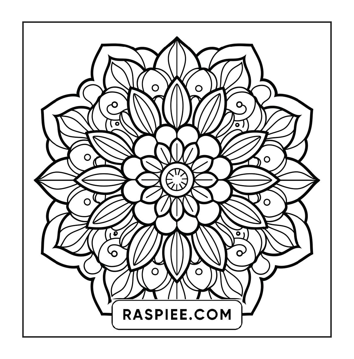 250 Mandala Adult Coloring Pages Vol.4