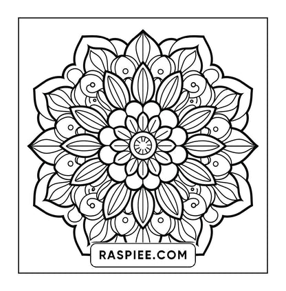 250 Mandala Adult Coloring Pages Vol.4