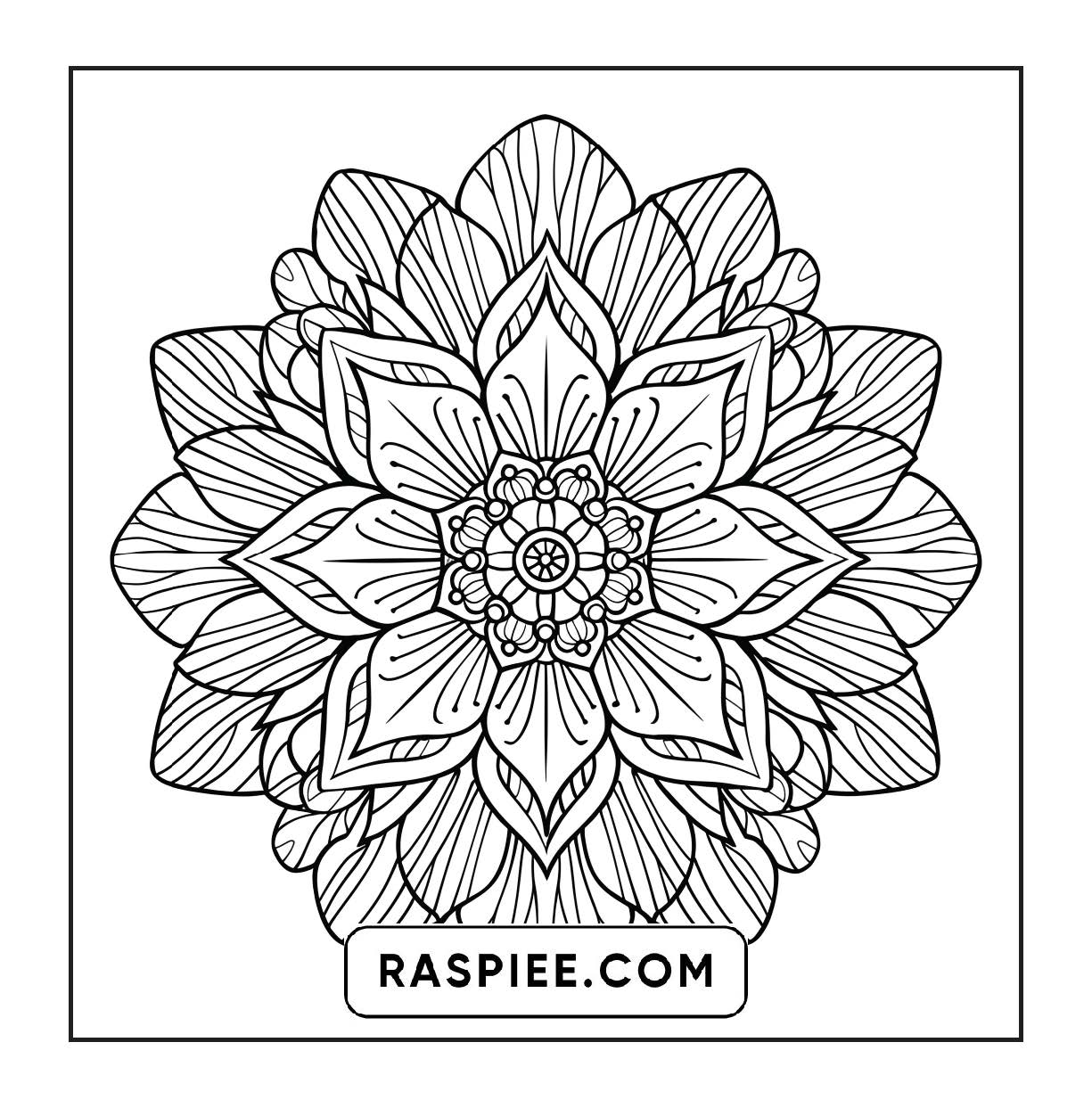 250 Mandala Adult Coloring Pages Vol.4