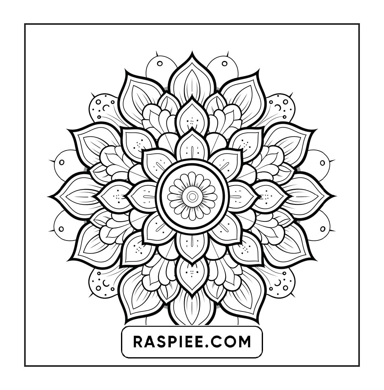 250 Mandala Adult Coloring Pages Vol.4