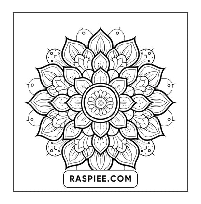 250 Mandala Adult Coloring Pages Vol.4