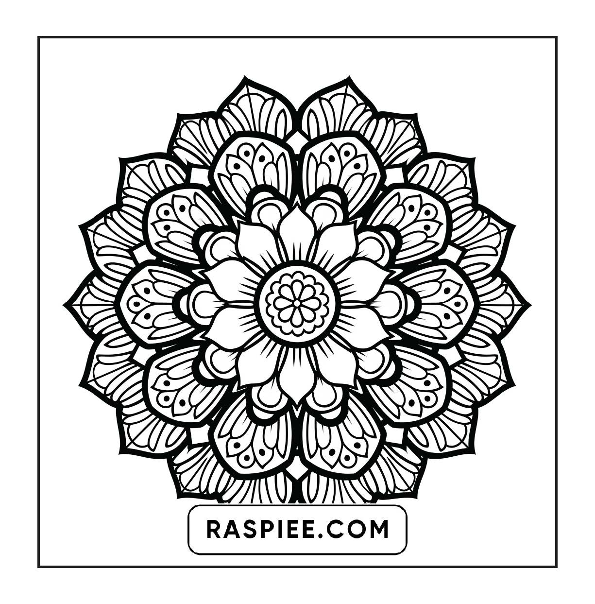 250 Mandala Adult Coloring Pages Vol.4