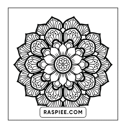 250 Mandala Adult Coloring Pages Vol.4