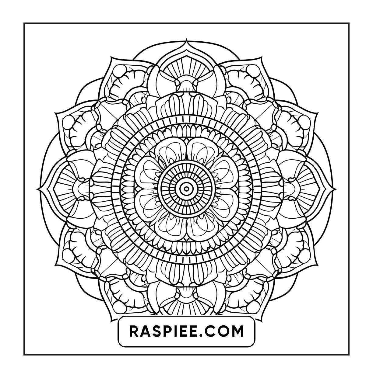 250 Mandala Adult Coloring Pages Vol.4