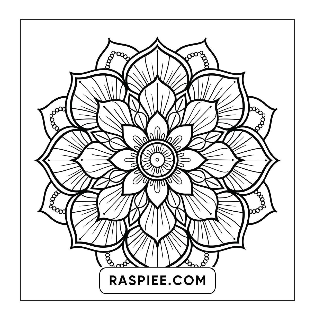 250 Mandala Adult Coloring Pages Vol.4