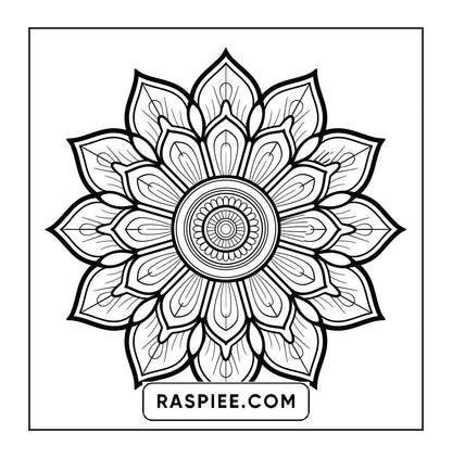 250 Mandala Adult Coloring Pages Vol.4