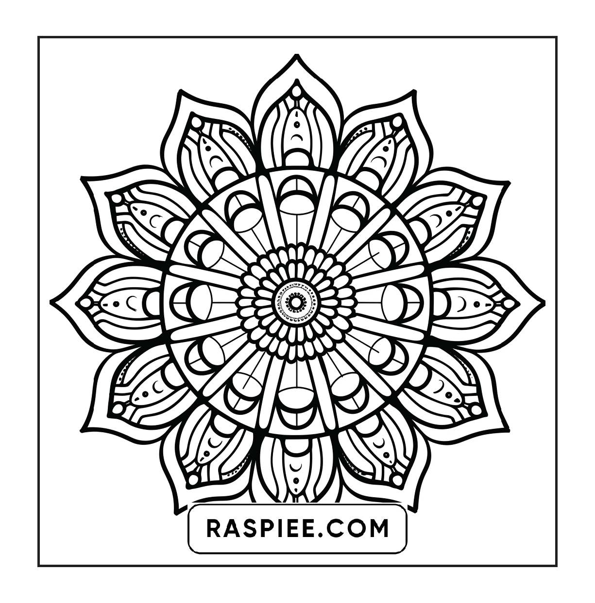 250 Mandala Adult Coloring Pages Vol.4