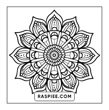 250 Mandala Adult Coloring Pages Vol.4