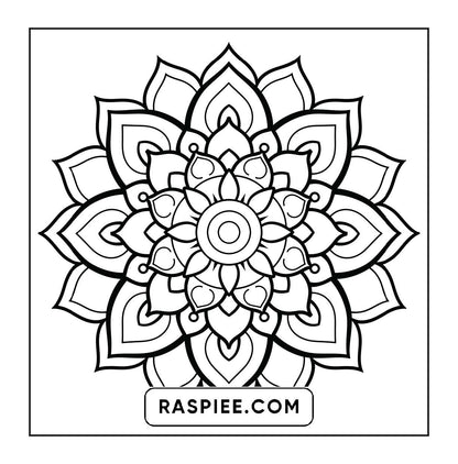 250 Mandala Adult Coloring Pages Vol.4