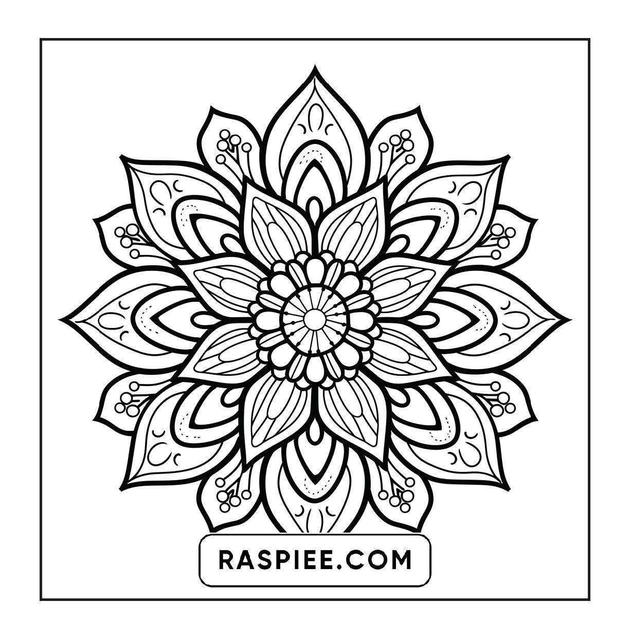 250 Mandala Adult Coloring Pages Vol.4