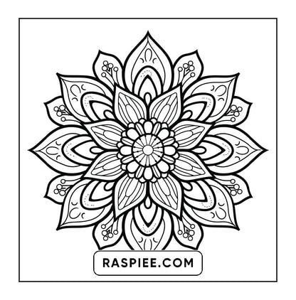 250 Mandala Adult Coloring Pages Vol.4