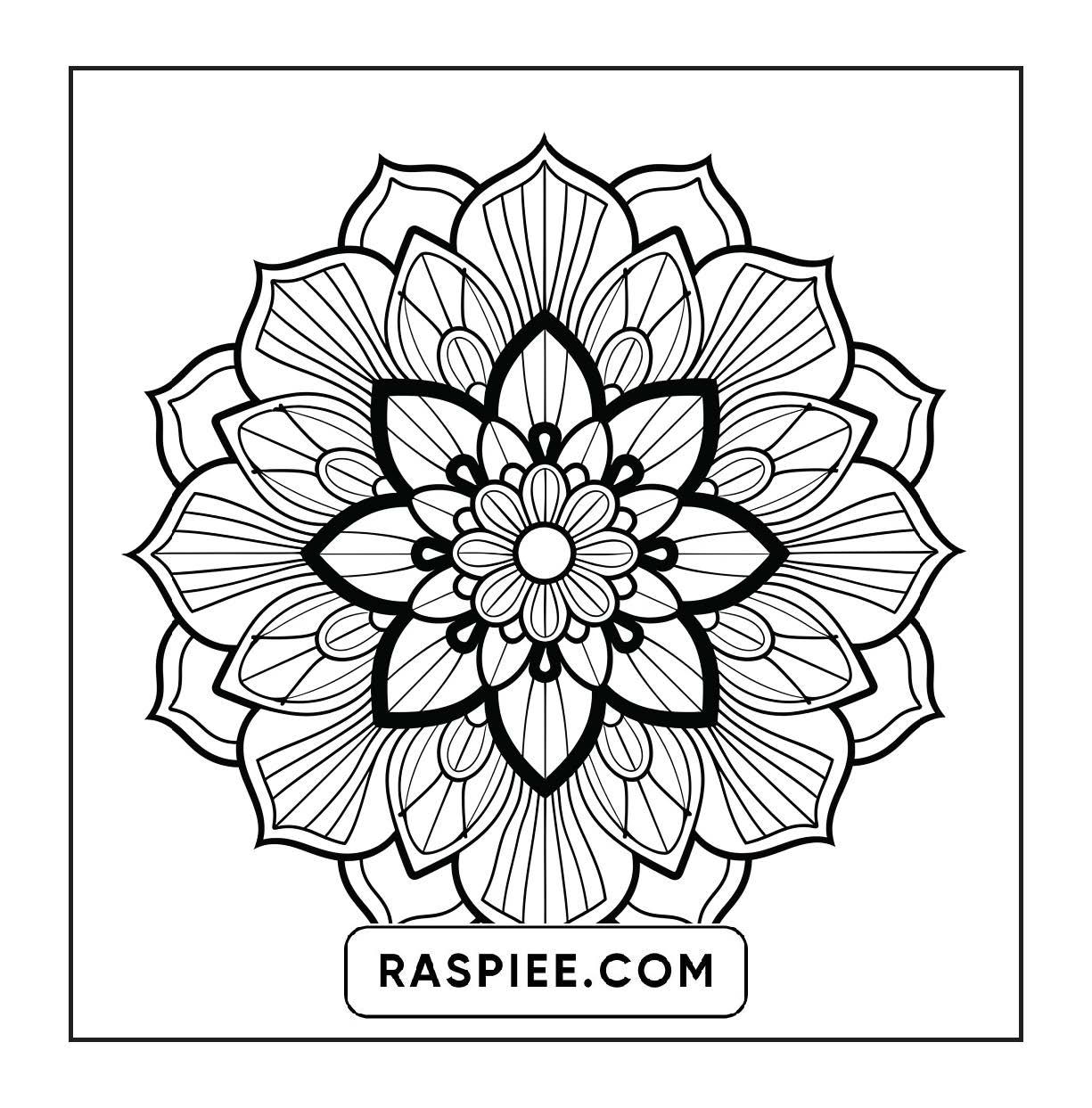 250 Mandala Adult Coloring Pages Vol.4