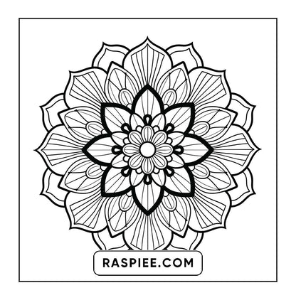 250 Mandala Adult Coloring Pages Vol.4