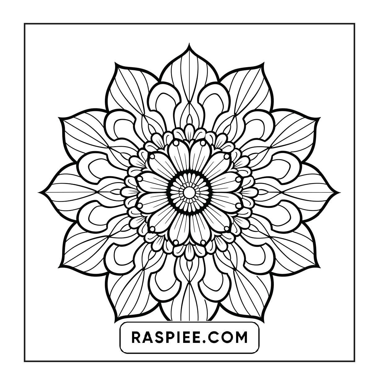 250 Mandala Adult Coloring Pages Vol.4