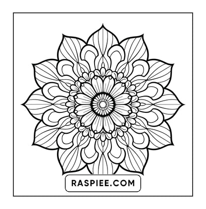 250 Mandala Adult Coloring Pages Vol.4