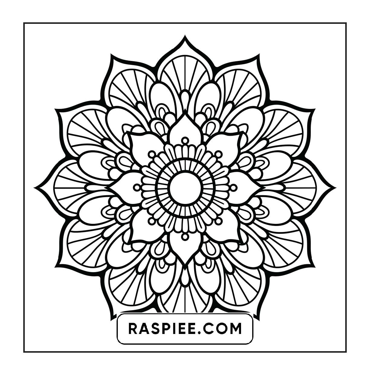 250 Mandala Adult Coloring Pages Vol.4