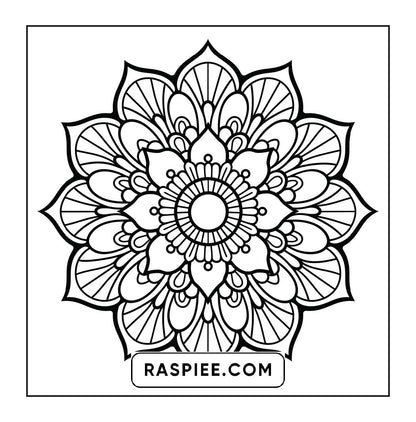 250 Mandala Adult Coloring Pages Vol.4