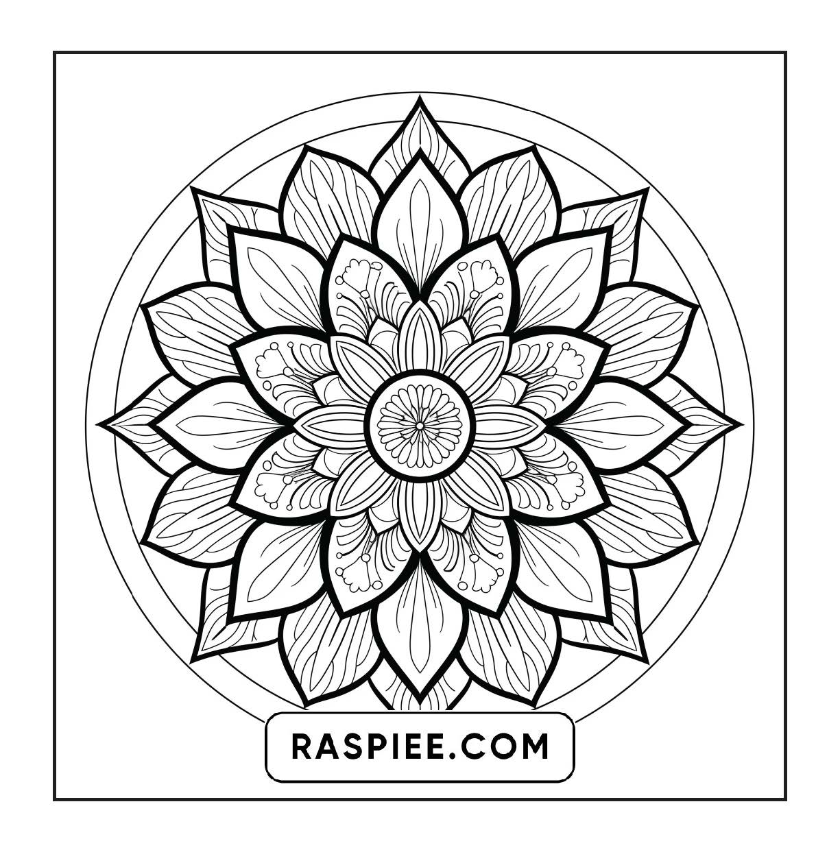 250 Mandala Adult Coloring Pages Vol.4