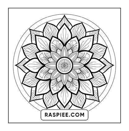 250 Mandala Adult Coloring Pages Vol.4