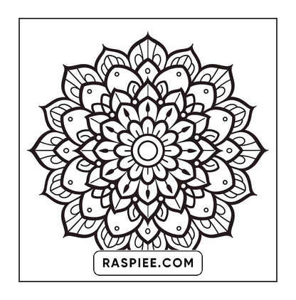 250 Mandala Adult Coloring Pages Vol.4