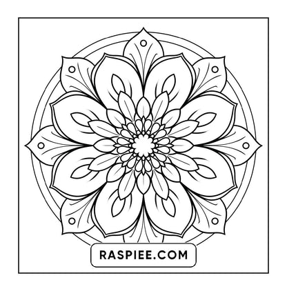 250 Mandala Adult Coloring Pages Vol.4