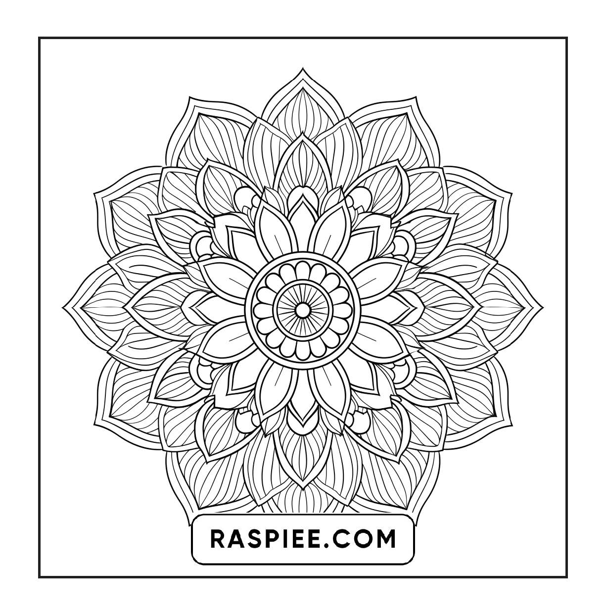 250 Mandala Adult Coloring Pages Vol.2