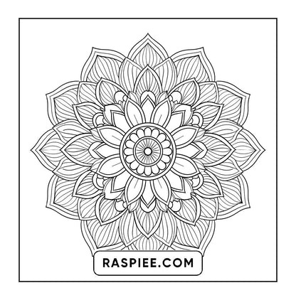 250 Mandala Adult Coloring Pages Vol.2