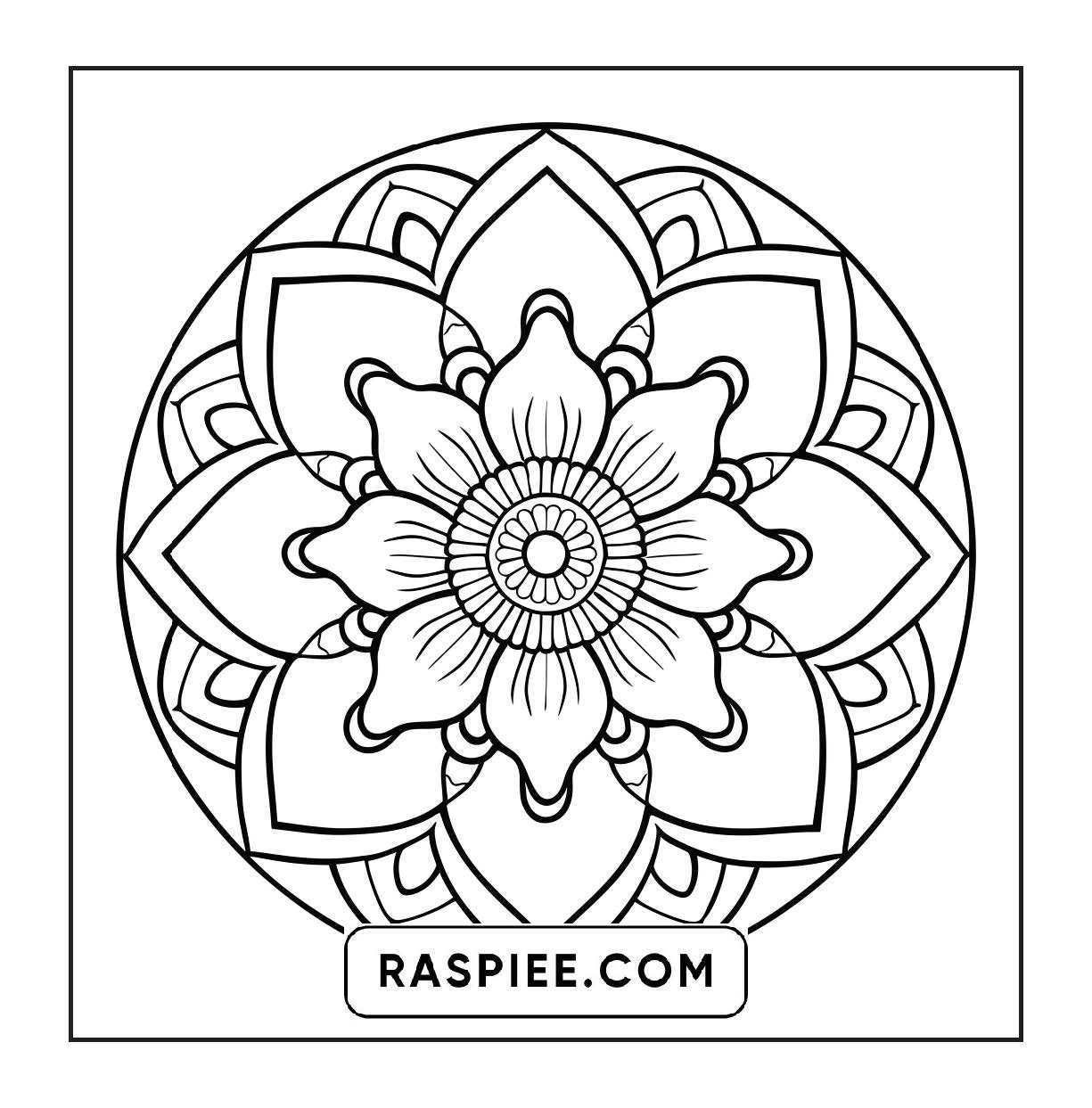 250 Mandala Adult Coloring Pages Vol.2