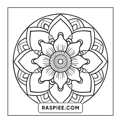 250 Mandala Adult Coloring Pages Vol.2