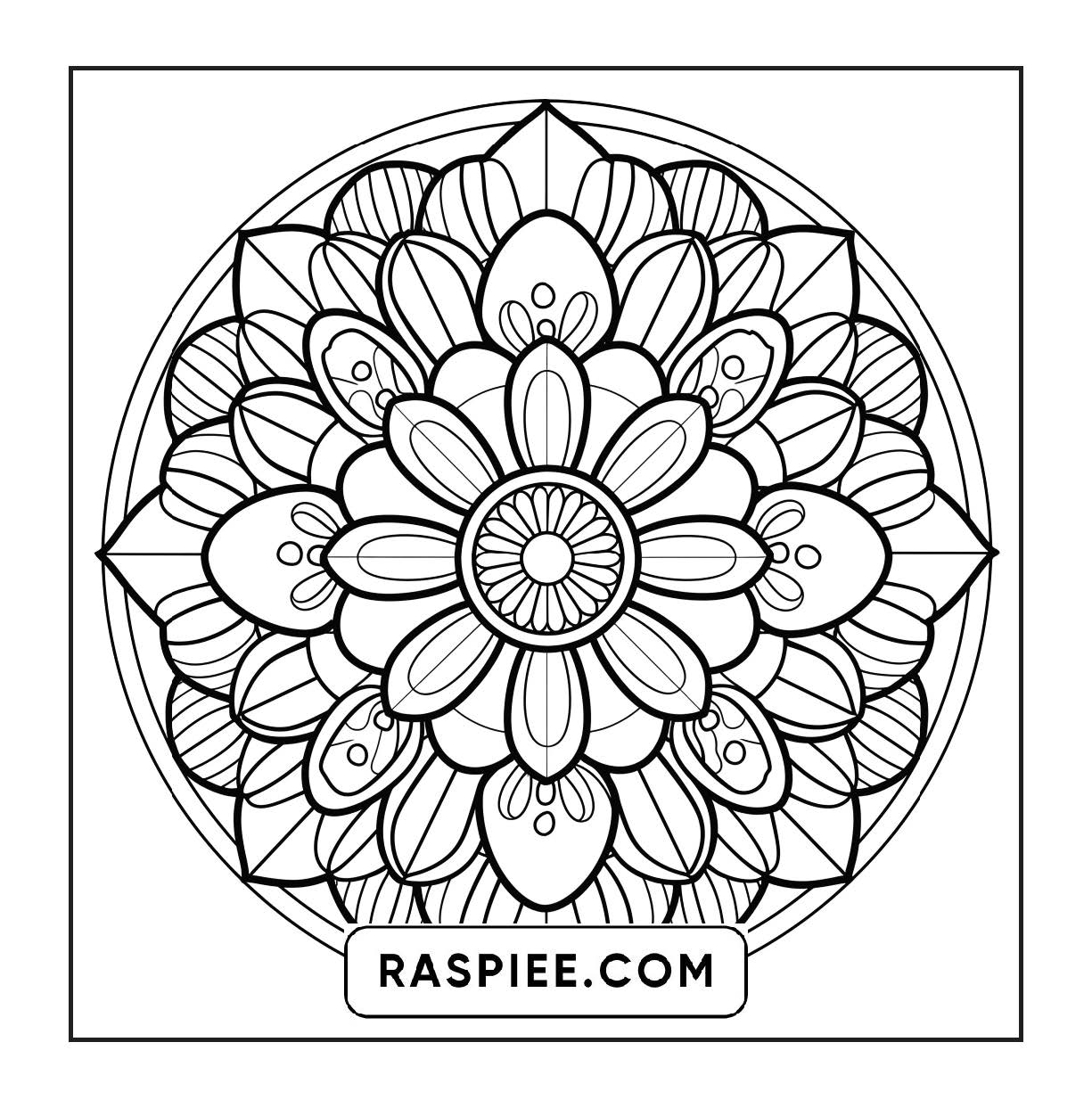250 Mandala Adult Coloring Pages Vol.2