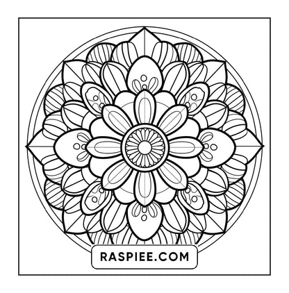 250 Mandala Adult Coloring Pages Vol.2