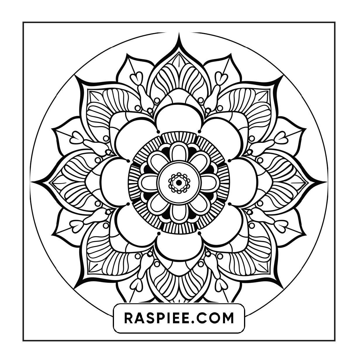 250 Mandala Adult Coloring Pages Vol.2