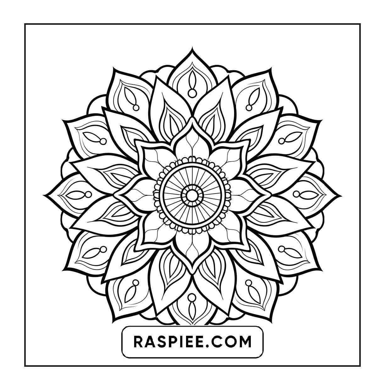 250 Mandala Adult Coloring Pages Vol.2