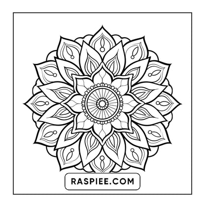 250 Mandala Adult Coloring Pages Vol.2