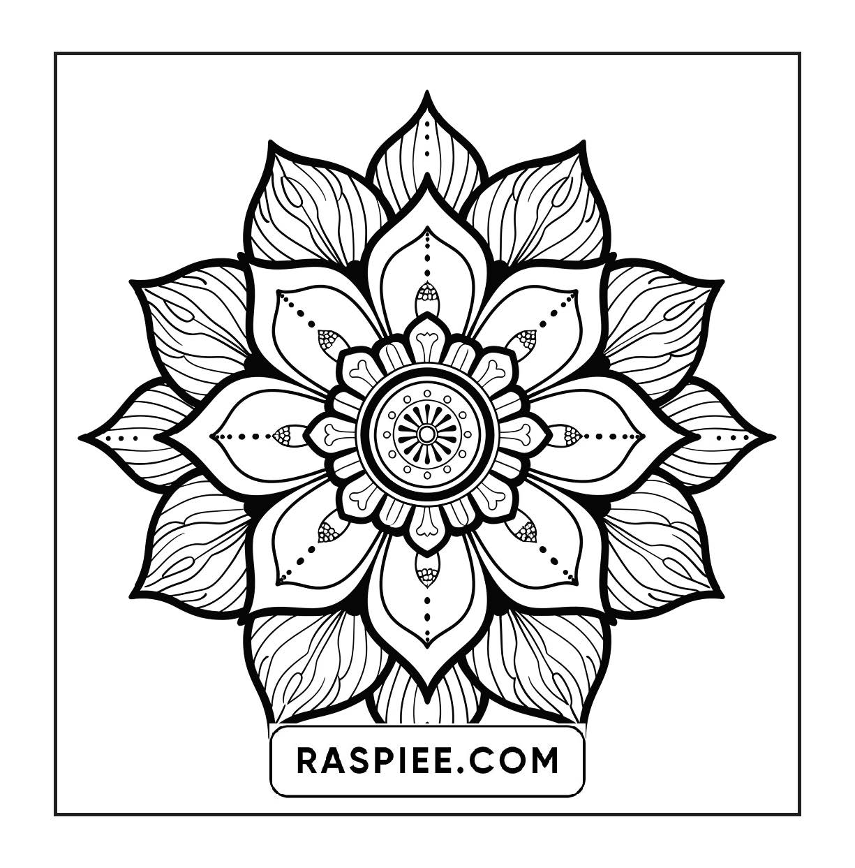 250 Mandala Adult Coloring Pages Vol.2