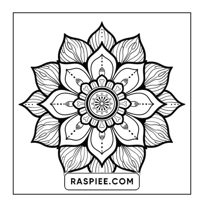 250 Mandala Adult Coloring Pages Vol.2
