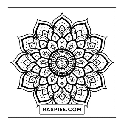 250 Mandala Adult Coloring Pages Vol.2