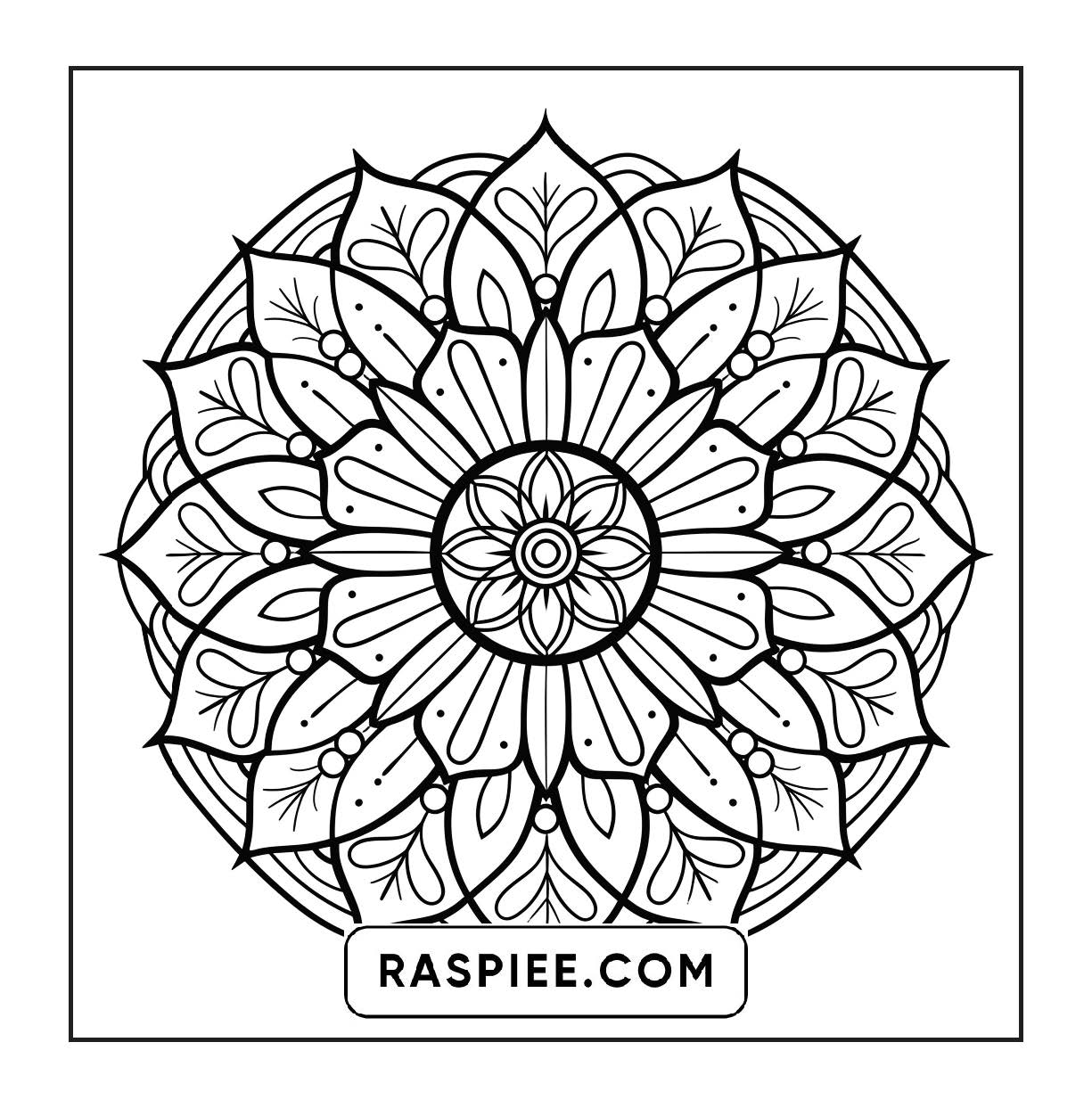 250 Mandala Adult Coloring Pages Vol.2