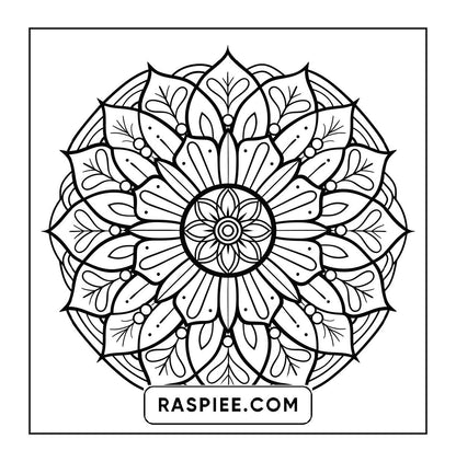 250 Mandala Adult Coloring Pages Vol.2