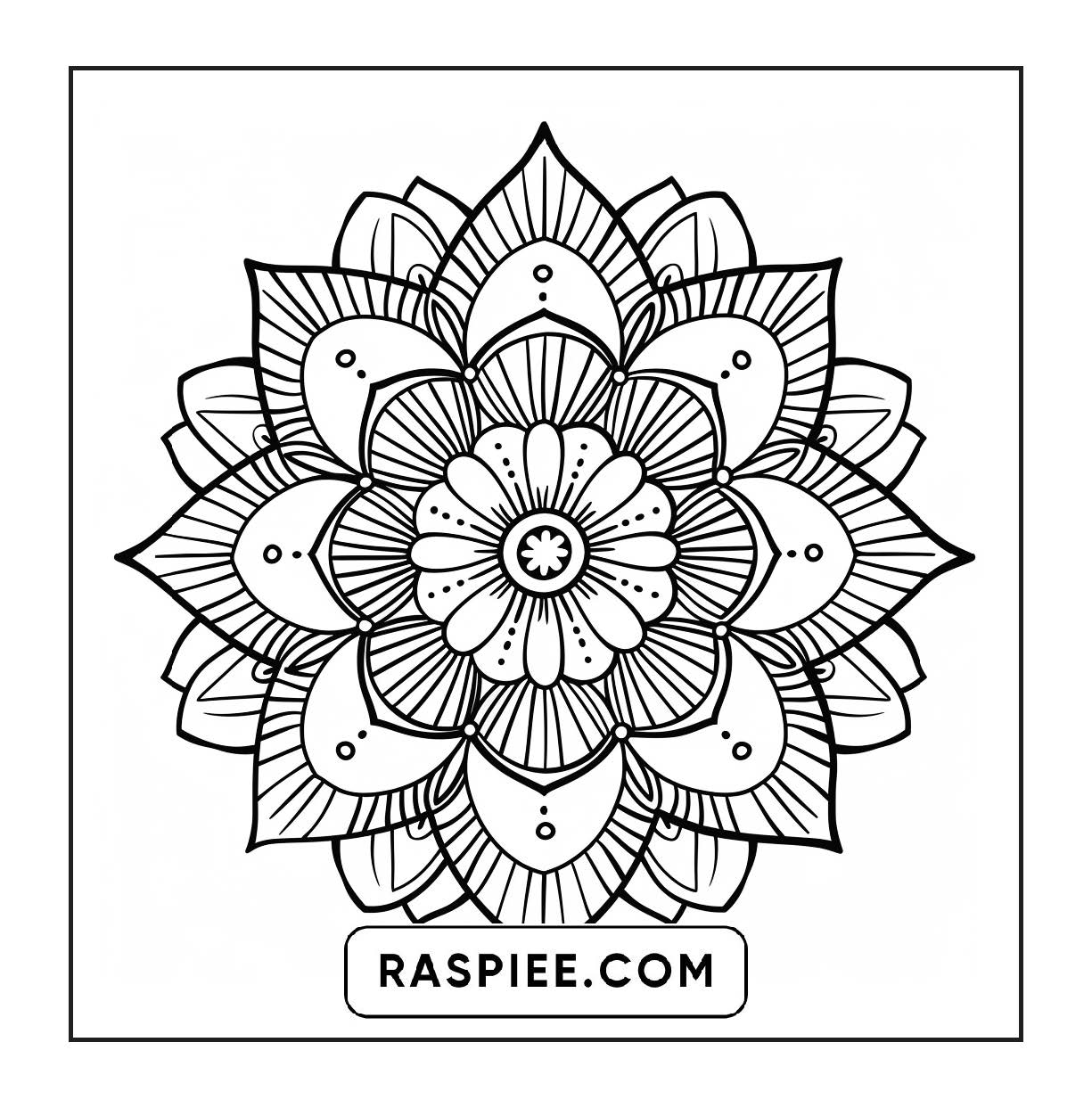 250 Mandala Adult Coloring Pages Vol.2