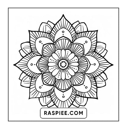 250 Mandala Adult Coloring Pages Vol.2