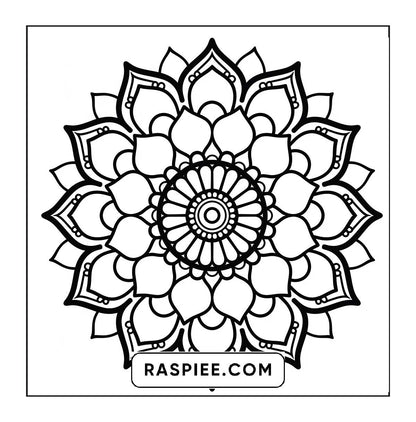 250 Mandala Adult Coloring Pages Vol.2