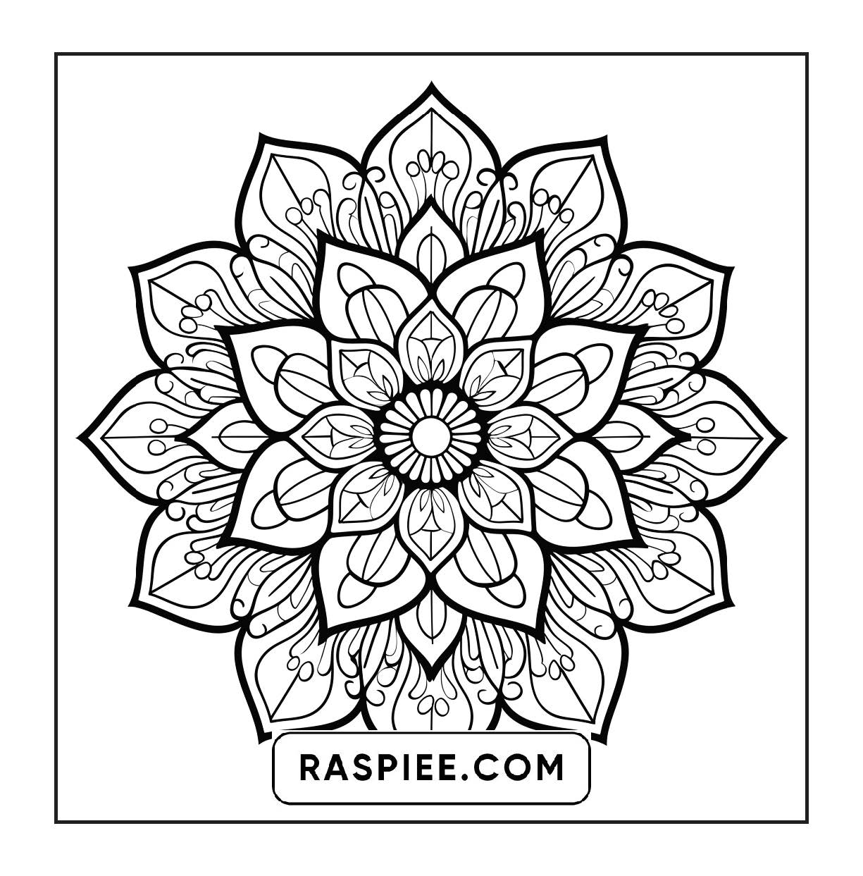 250 Mandala Adult Coloring Pages Vol.2