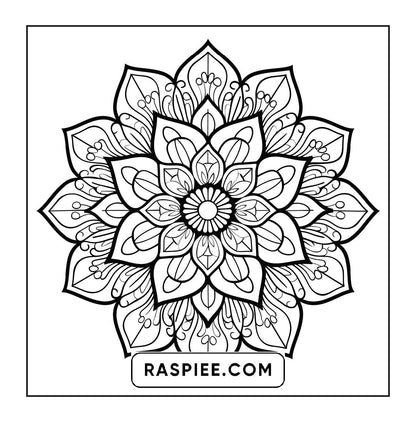 250 Mandala Adult Coloring Pages Vol.2