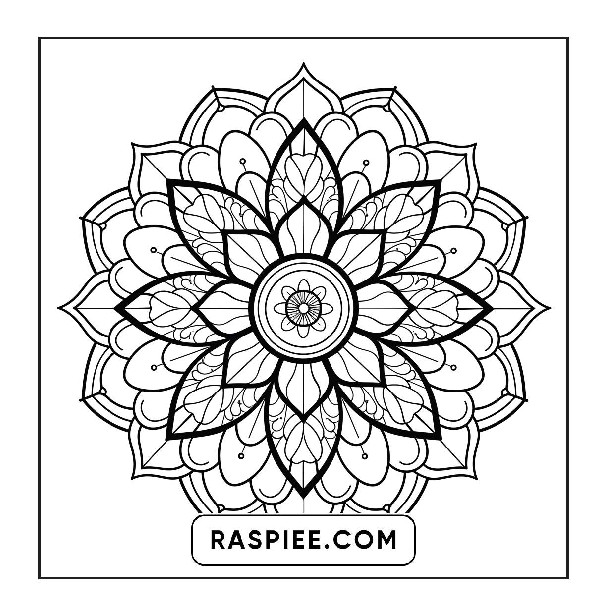 250 Mandala Adult Coloring Pages Vol.2