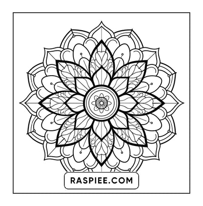 250 Mandala Adult Coloring Pages Vol.2