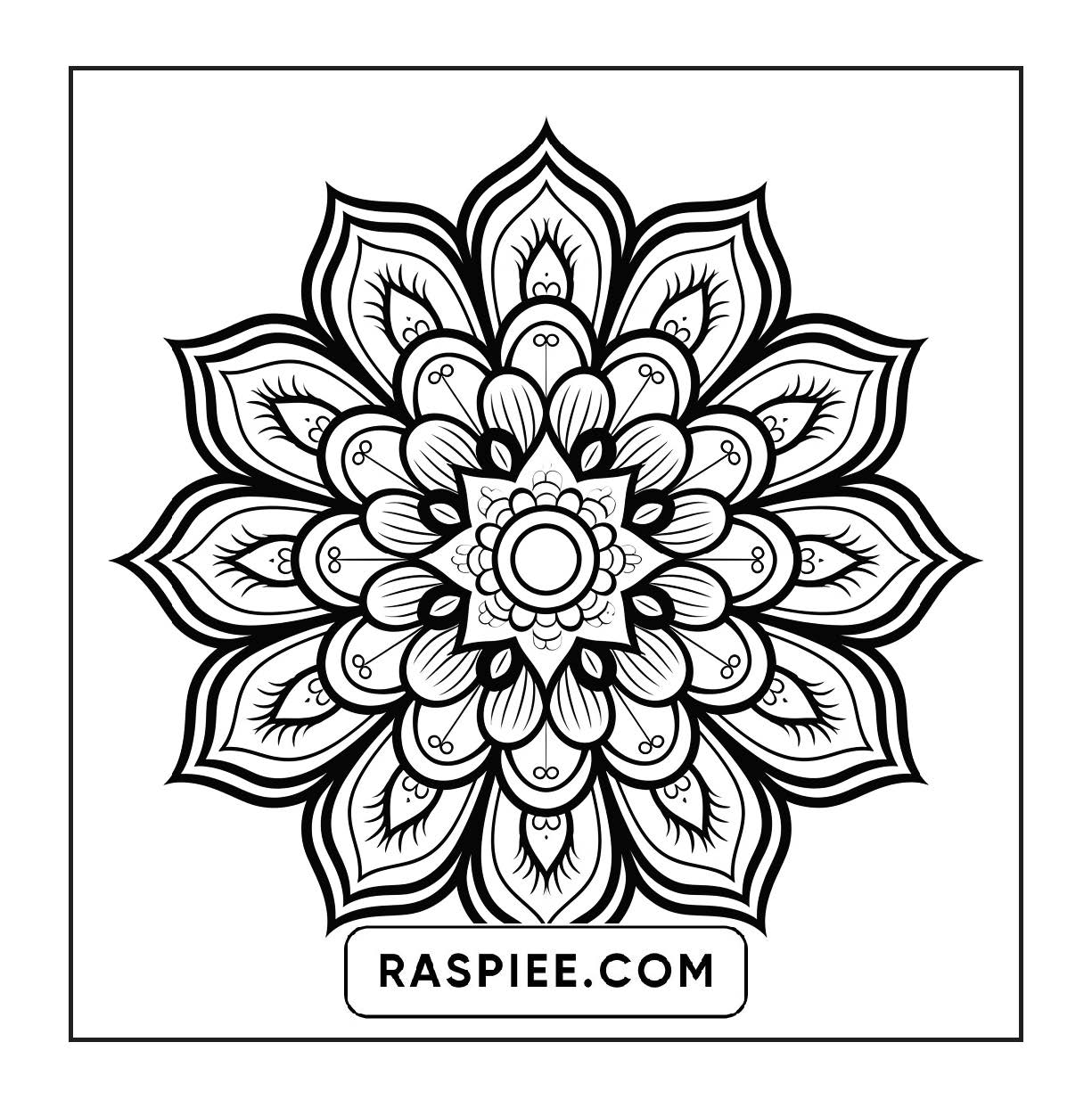 250 Mandala Adult Coloring Pages Vol.2