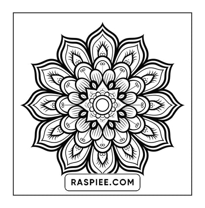 250 Mandala Adult Coloring Pages Vol.2